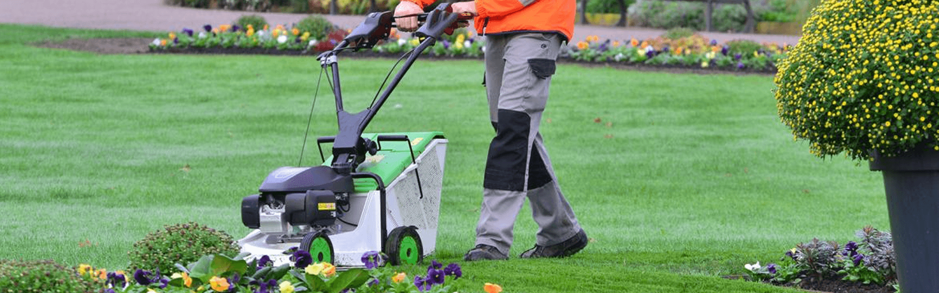 ETESIA