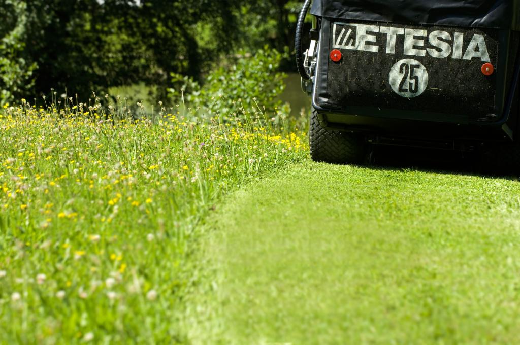 Etesia Zitmaaiers Hydro 124DX