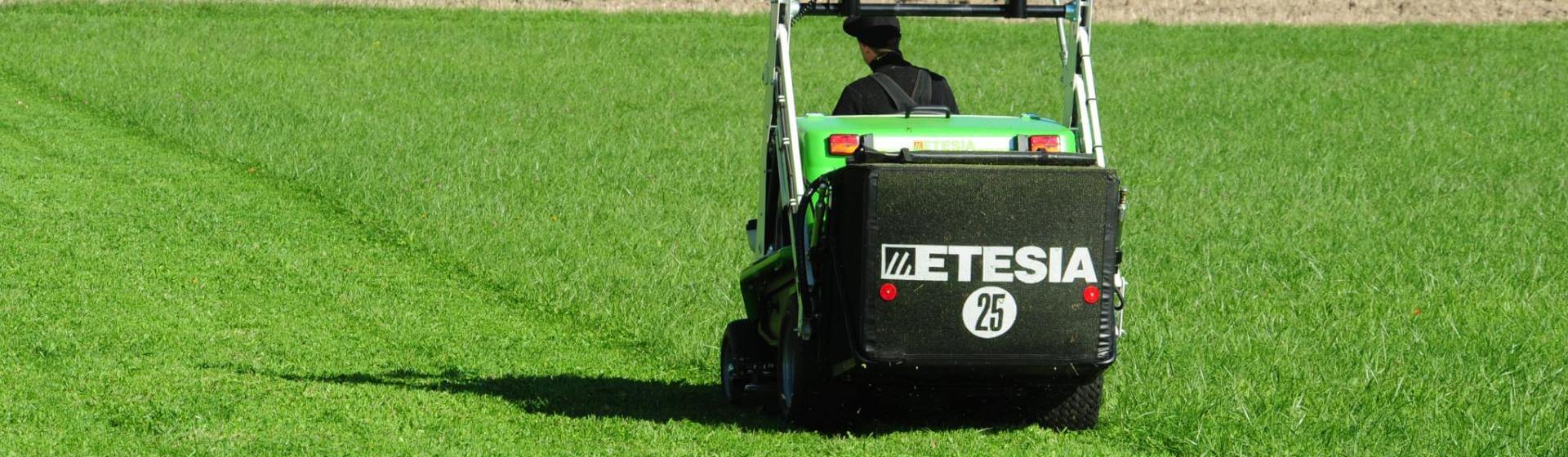 Etesia Zitmaaiers Hydro 124DN