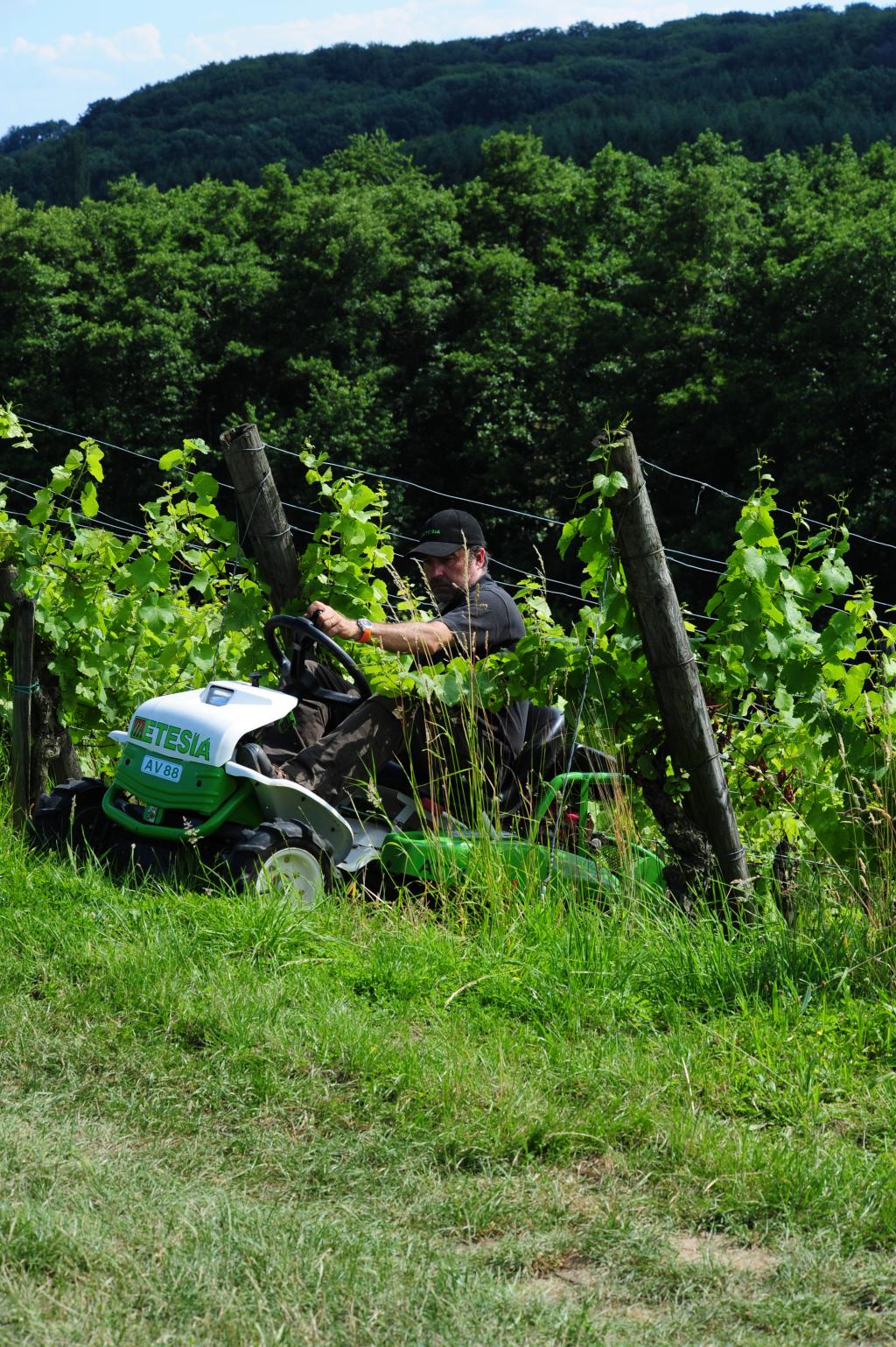 Etesia Ruwterreinmaaiers Attila AK 88